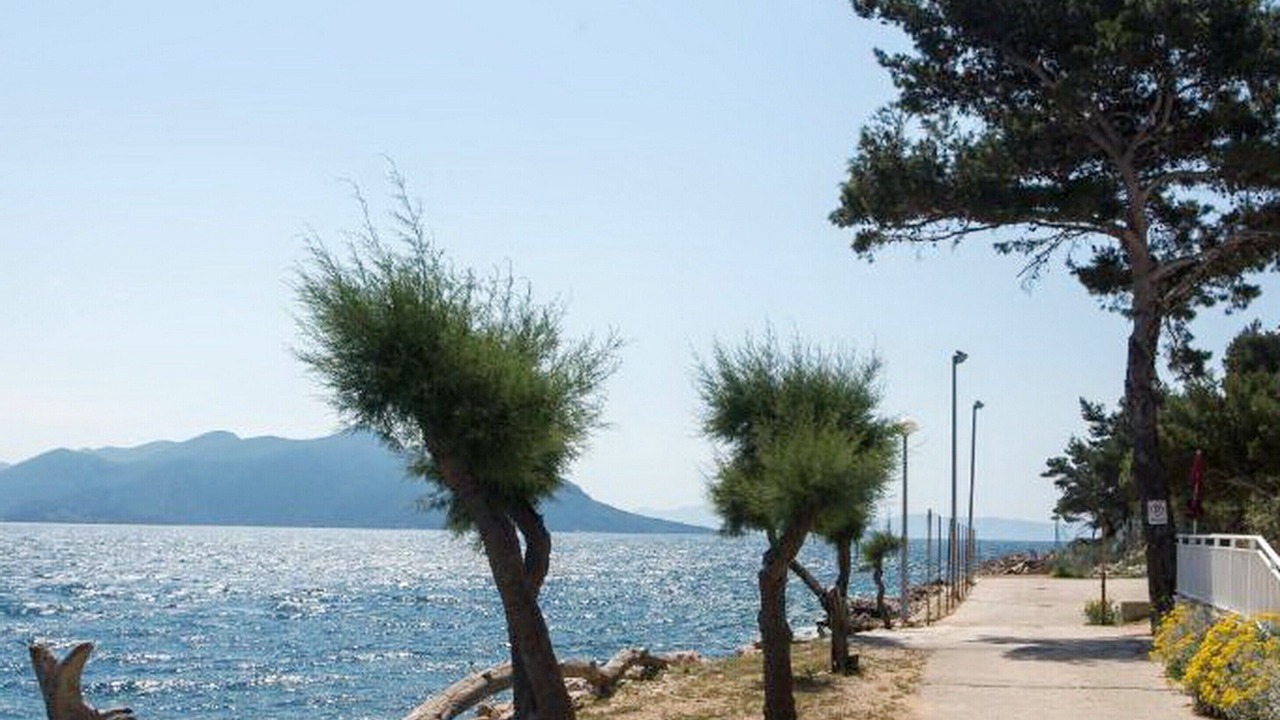 Photo of Outdoor in Trstenik