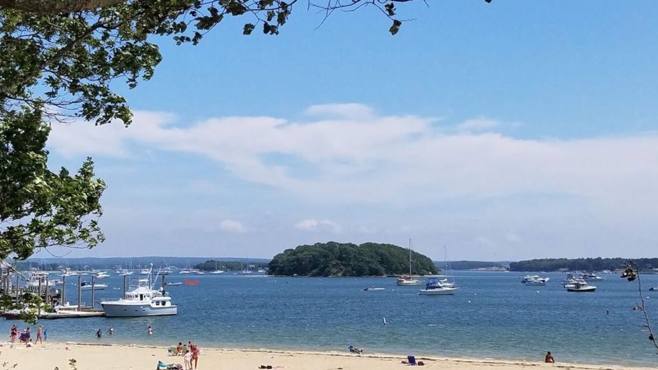 Photo of Others in Buzzards Bay