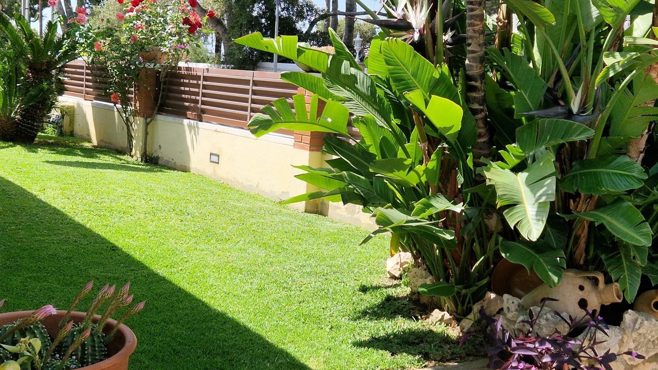 Photo of Outdoor in Segur de Calafell