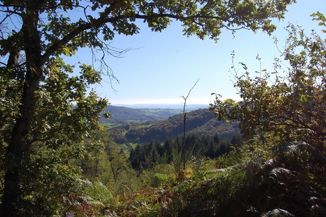 Photo of Outdoor in Arleuf