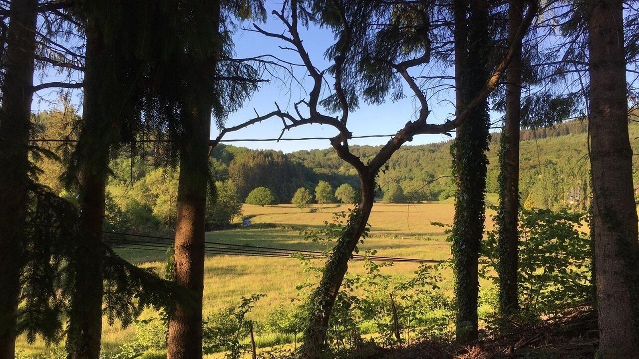 Photo of Outdoor in Arleuf