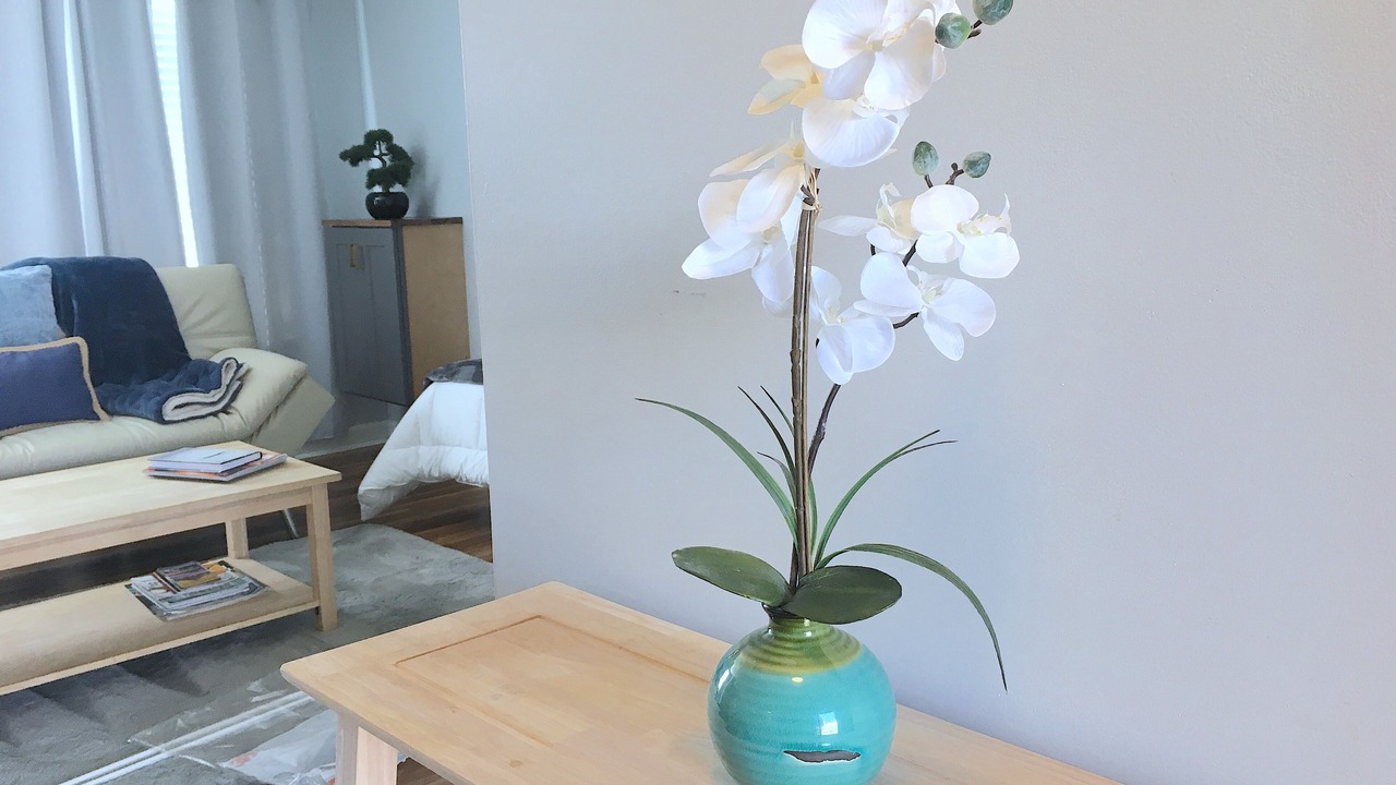 Photo of Livingroom in Academy Square