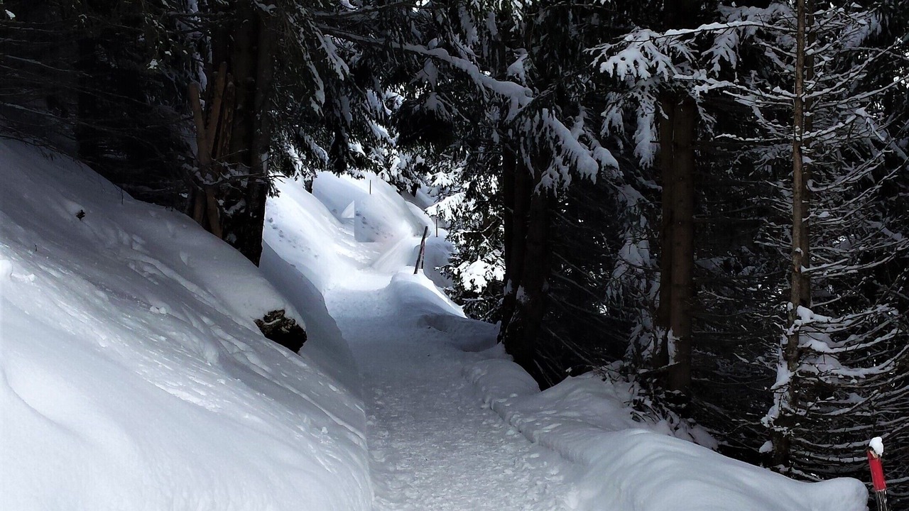 Photo of Outdoor in Unterseen