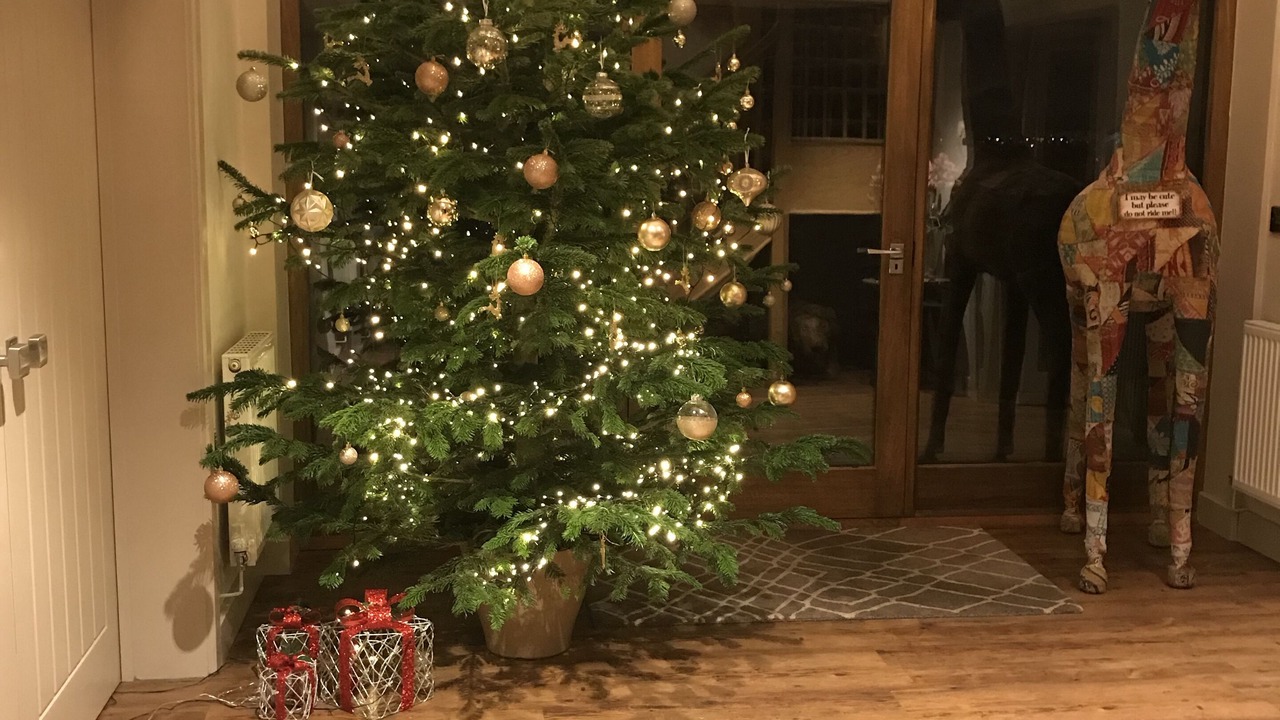 Photo of Others in Wimbolds Trafford