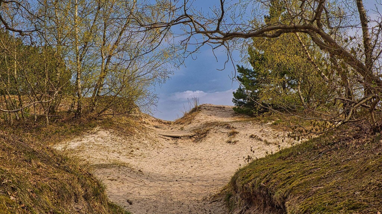 Photo of Others in Hvidbjerg Strand