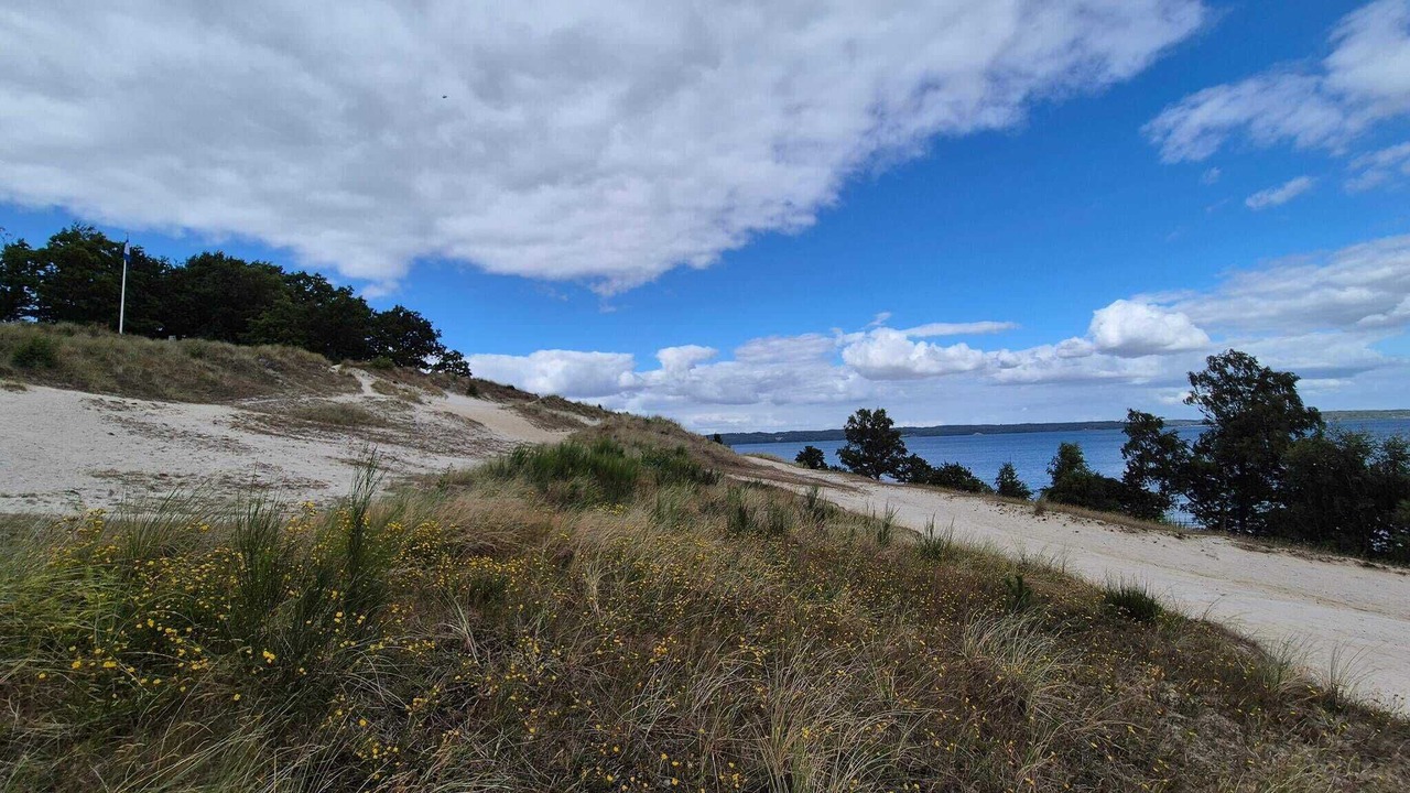 Photo of Others in Hvidbjerg Strand