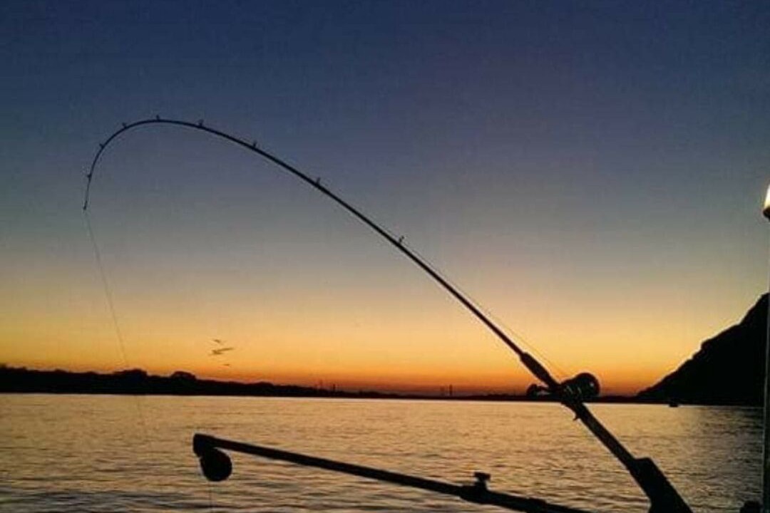 Photo of Others in Lakeview