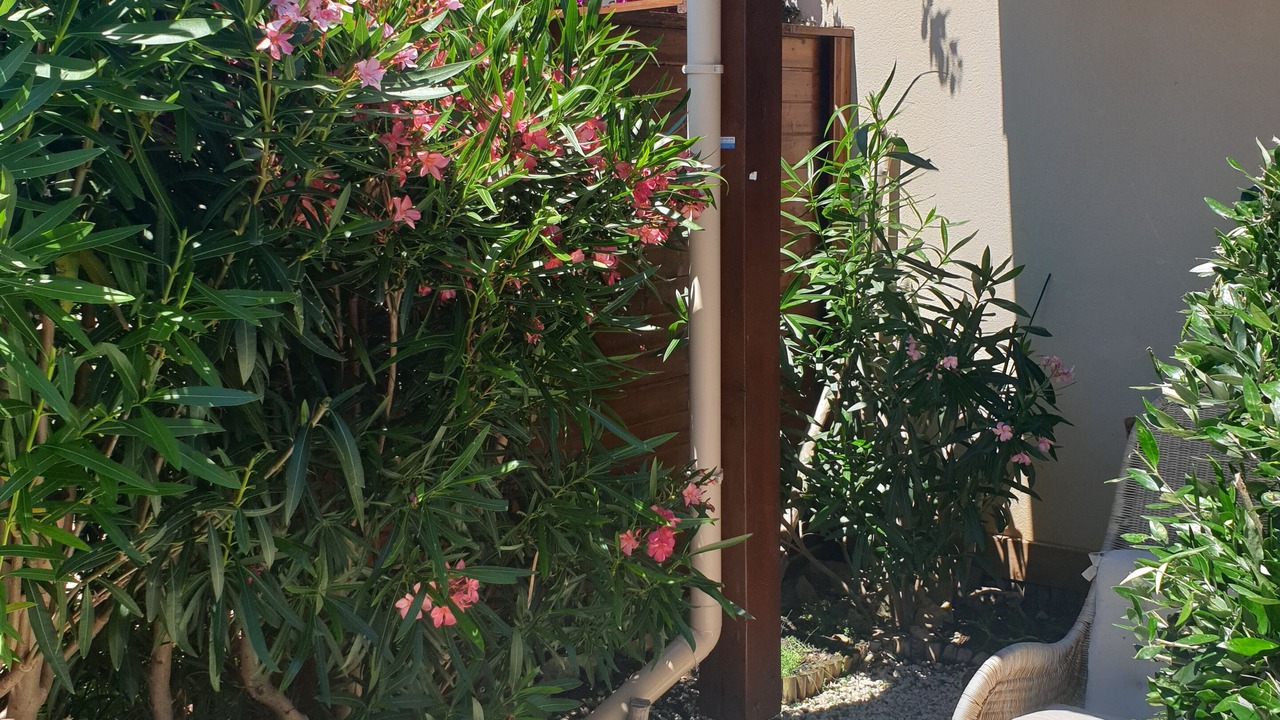 Photo of Outdoor in Foulquines