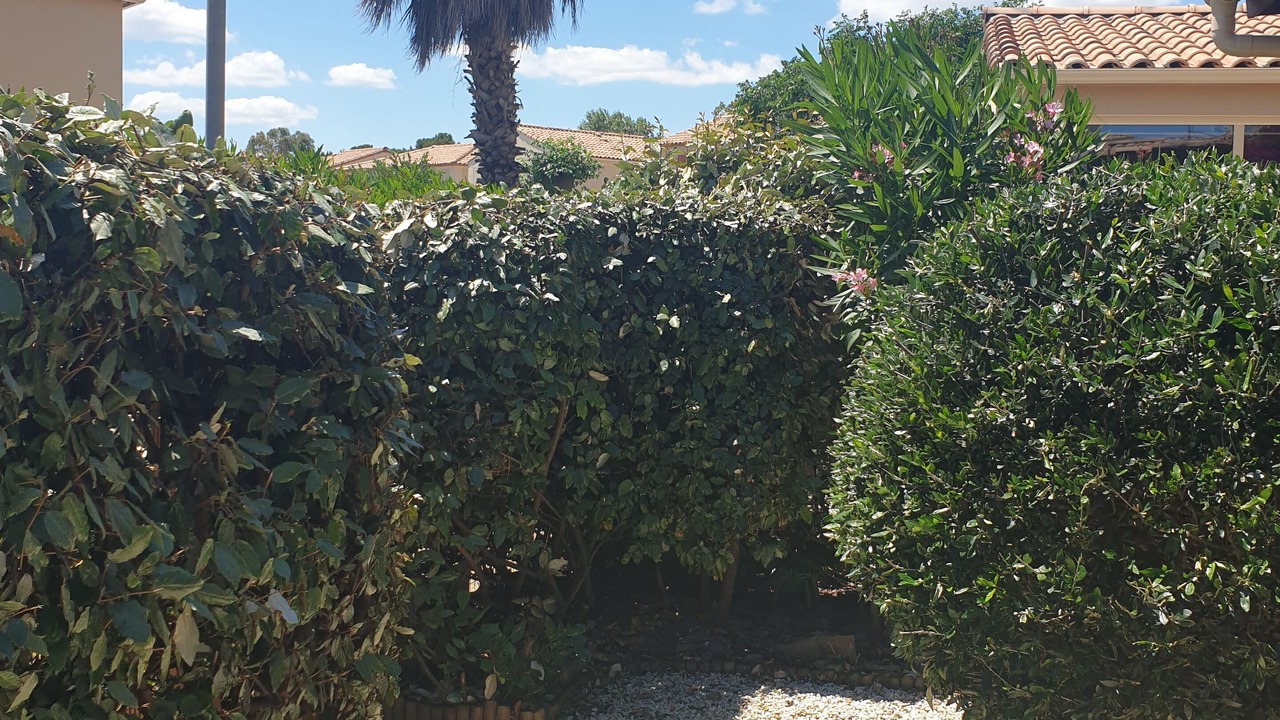 Photo of Outdoor in Foulquines