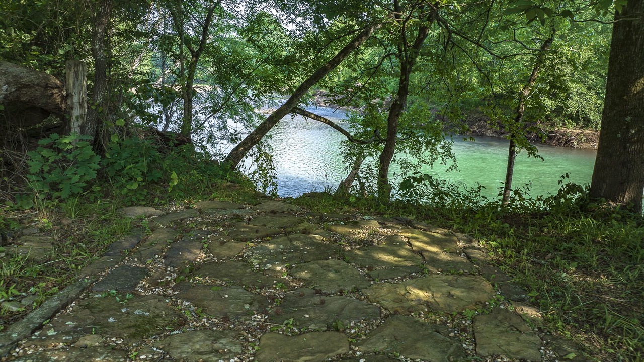 Photo of Others in Ozark