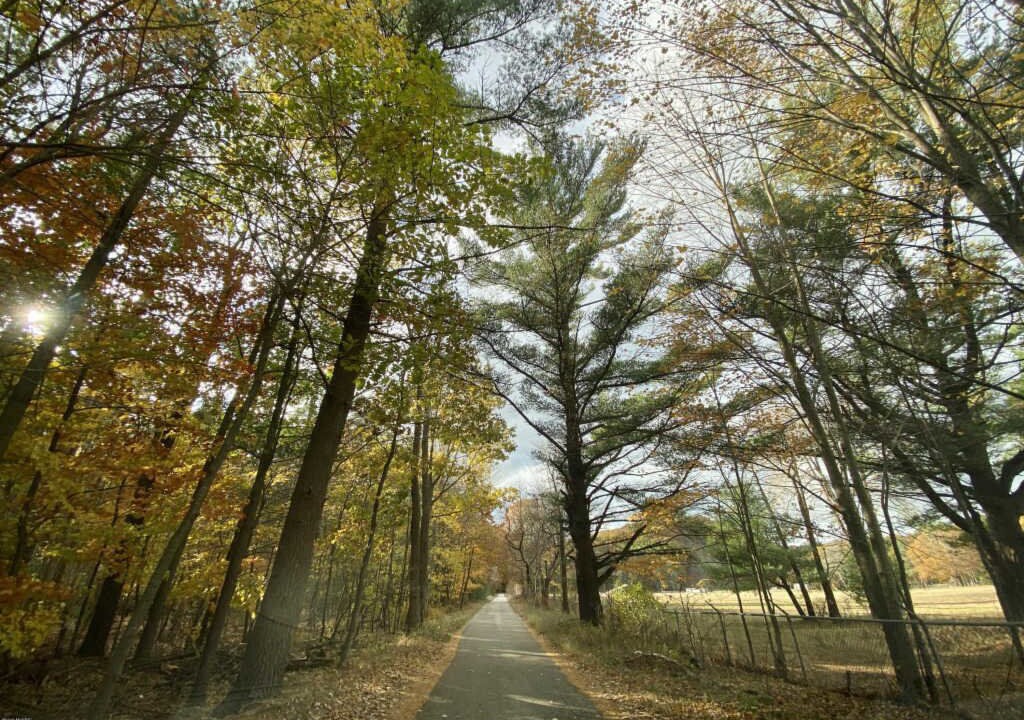 Photo of Outdoor in Norton Shores