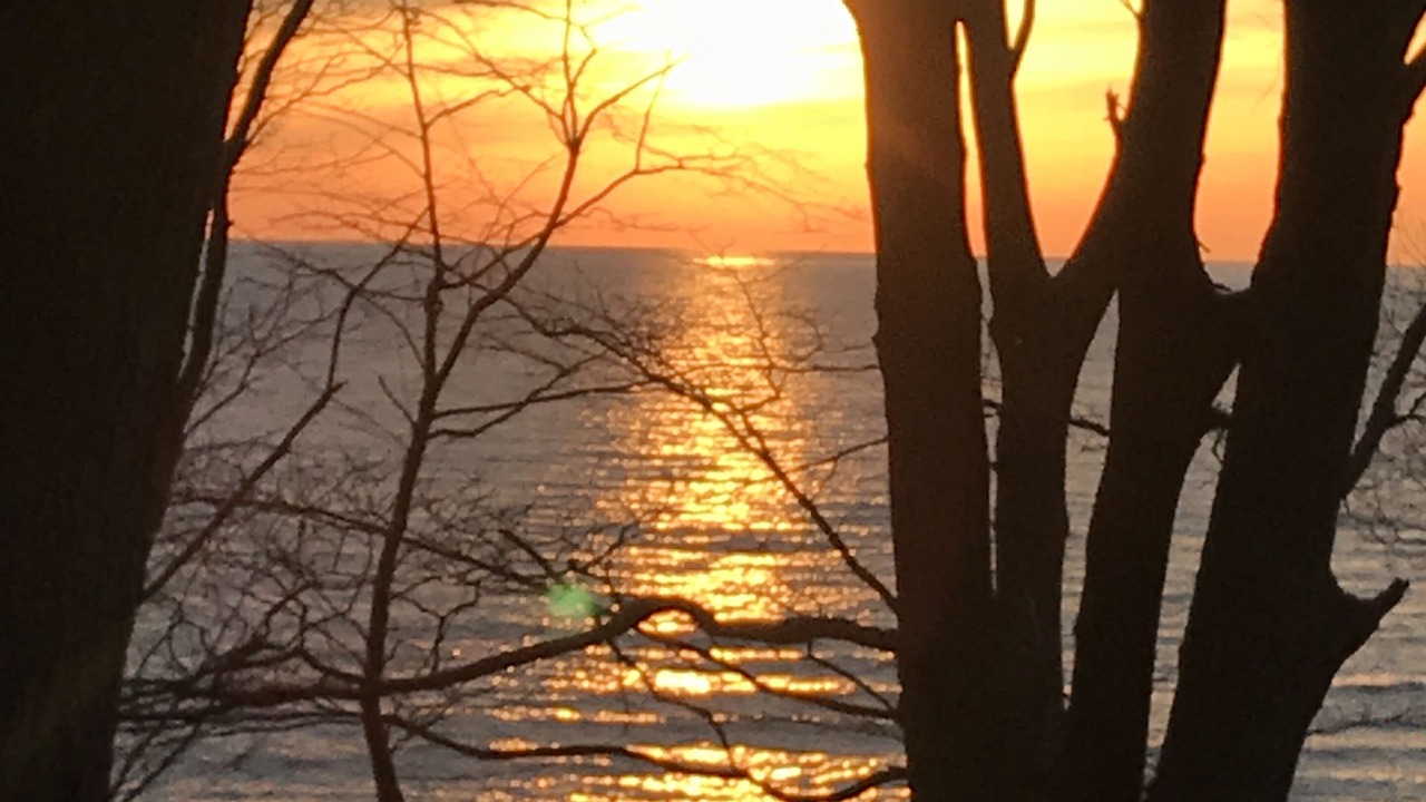 Photo of Others in Norton Shores
