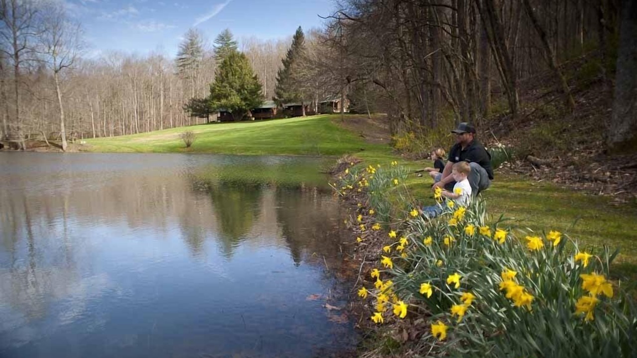 Photo of Others in Rabun Gap