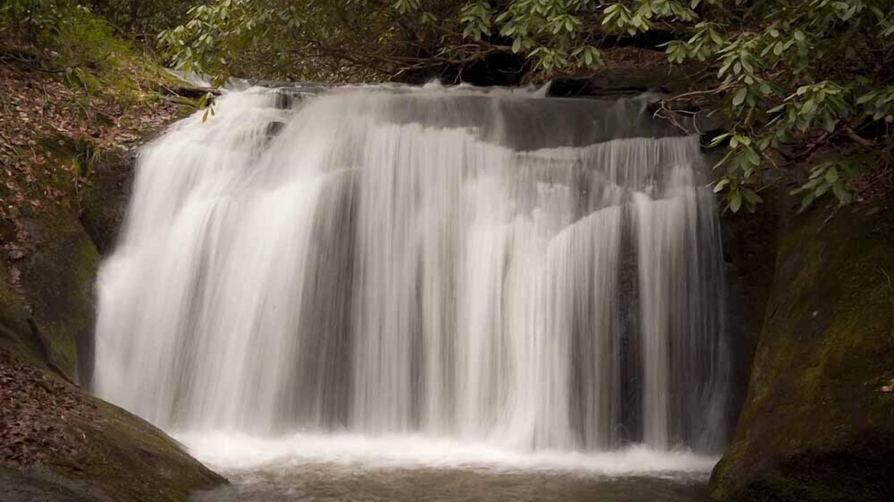 Photo of Others in Rabun Gap