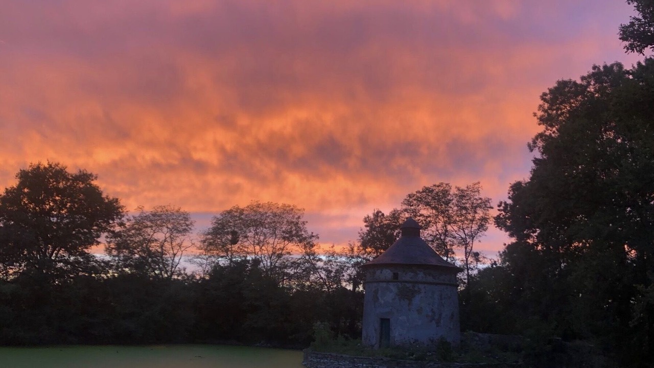 Photo of Others in Saint-Hilaire-de-Loulay