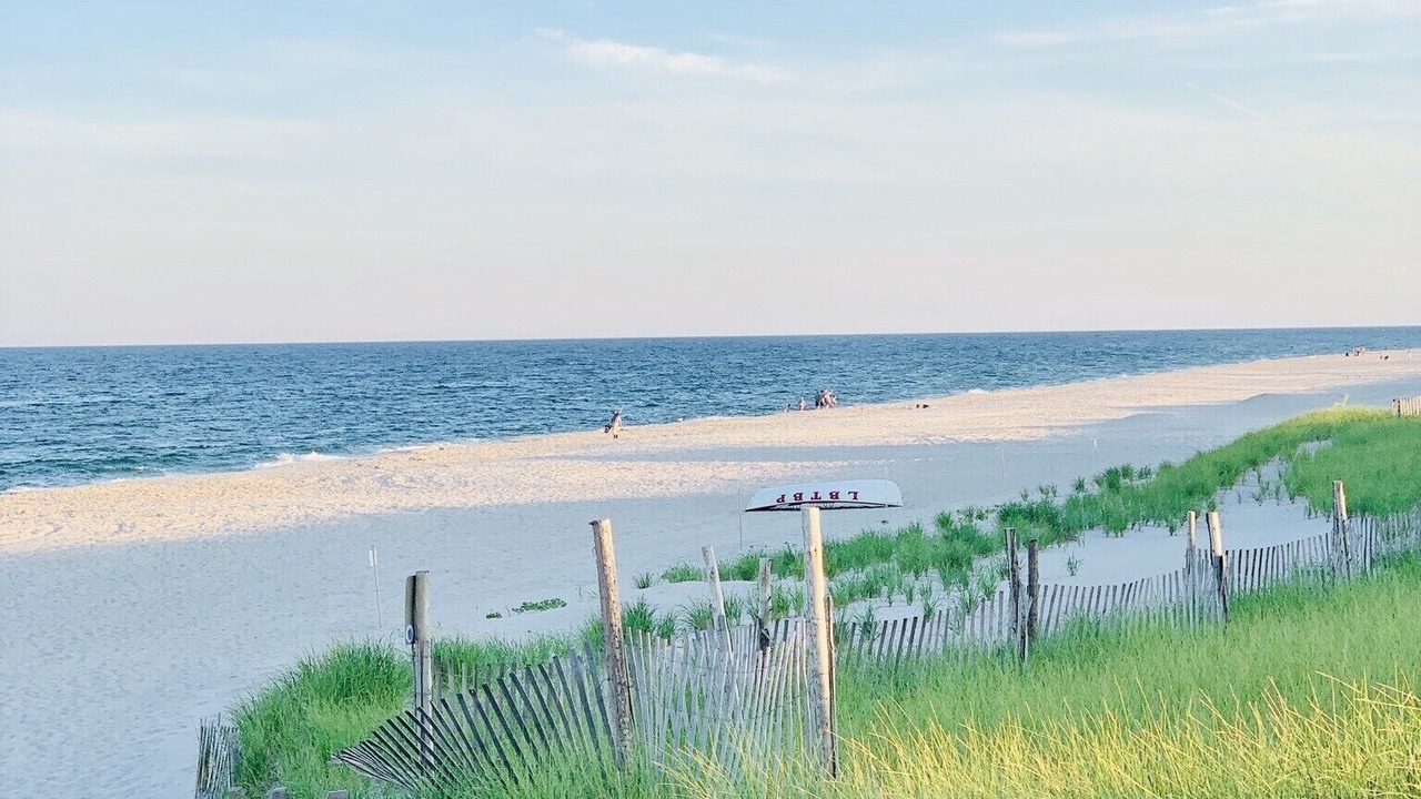 Photo of Others in South Beach Haven