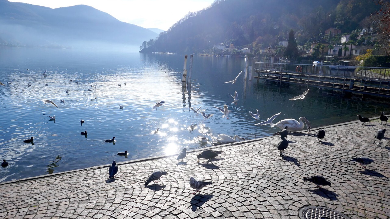 Photo of Others in Caslano