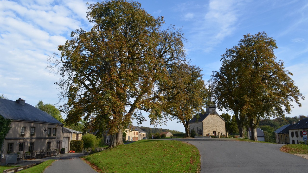 Photo of Outdoor in Williers