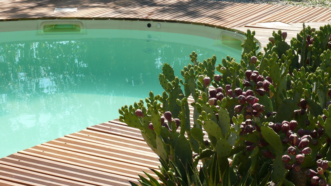 Photo of Outdoor in Bollene