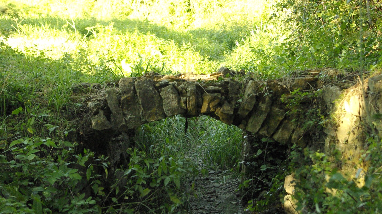Photo of Outdoor in Bollene
