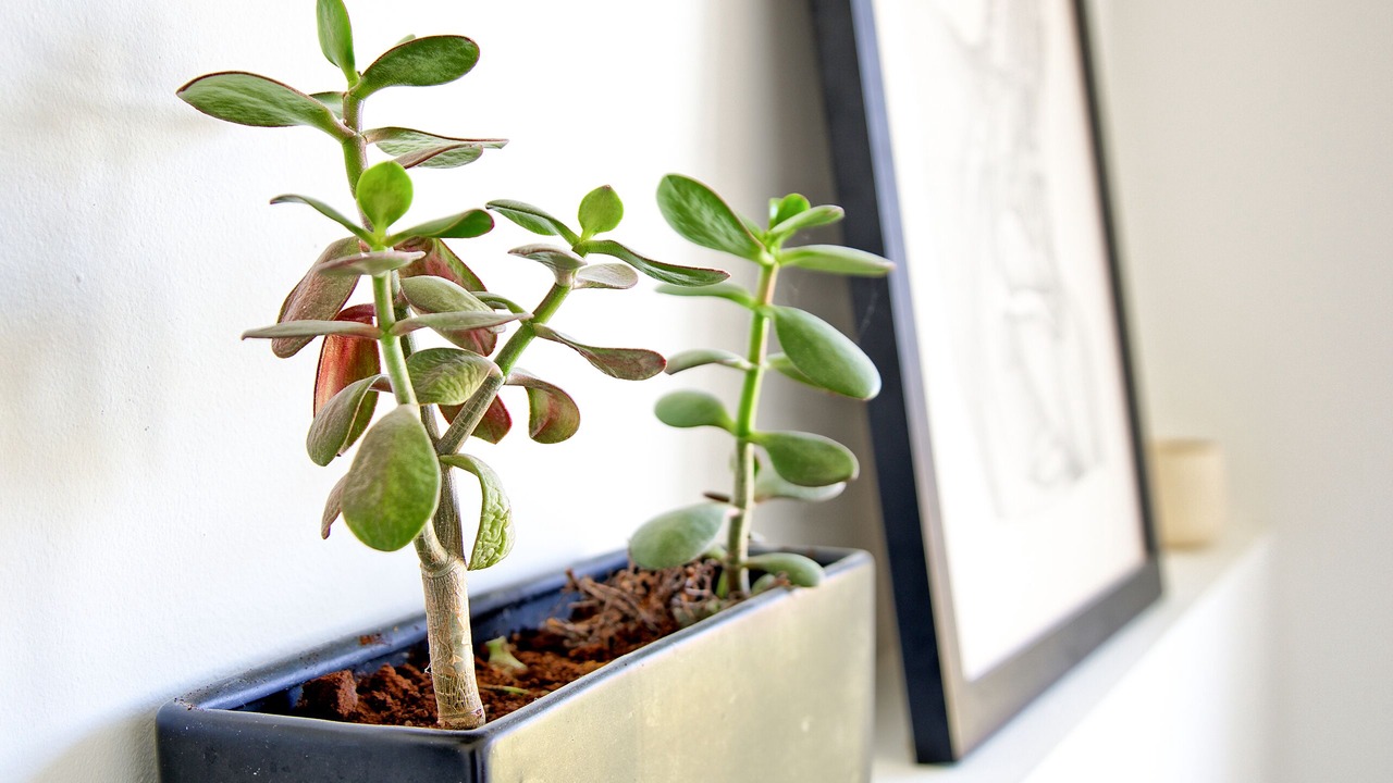 Photo of Others in Town of Copake