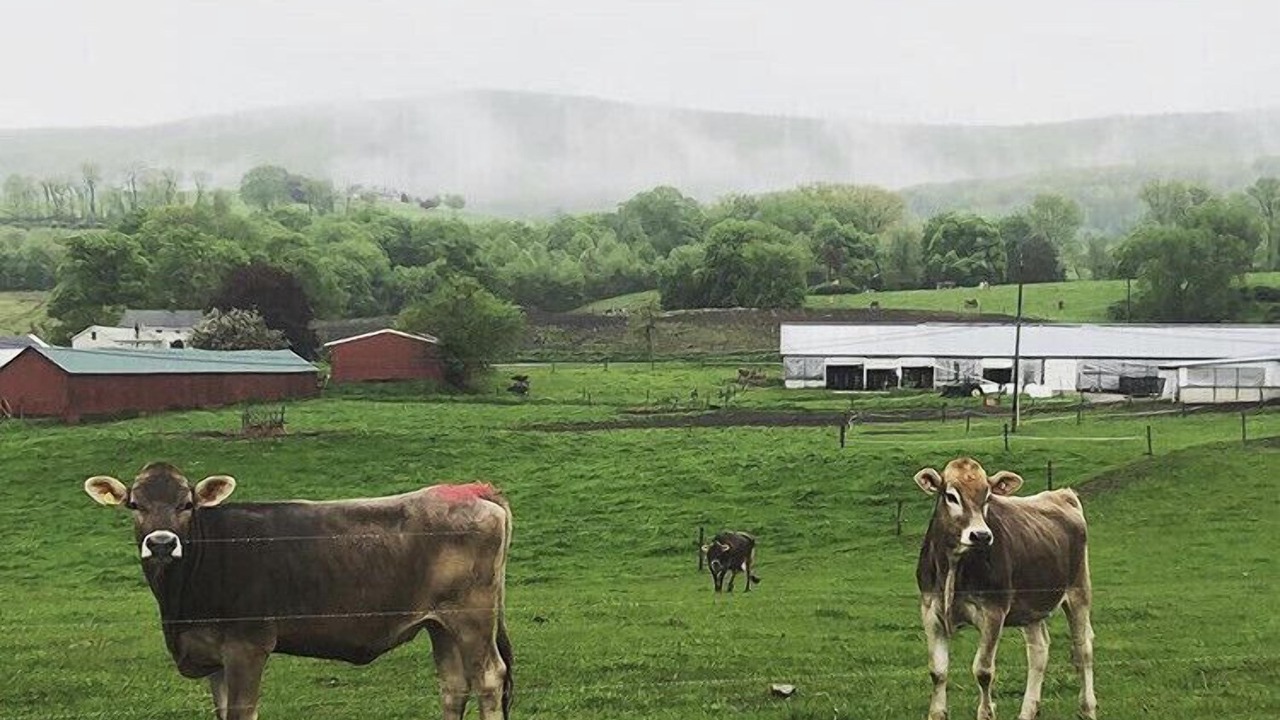 Photo of Outdoor in Town of Copake