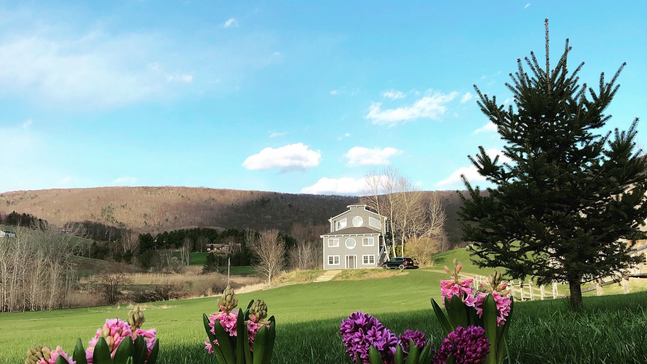 Photo of Outdoor in Town of Copake