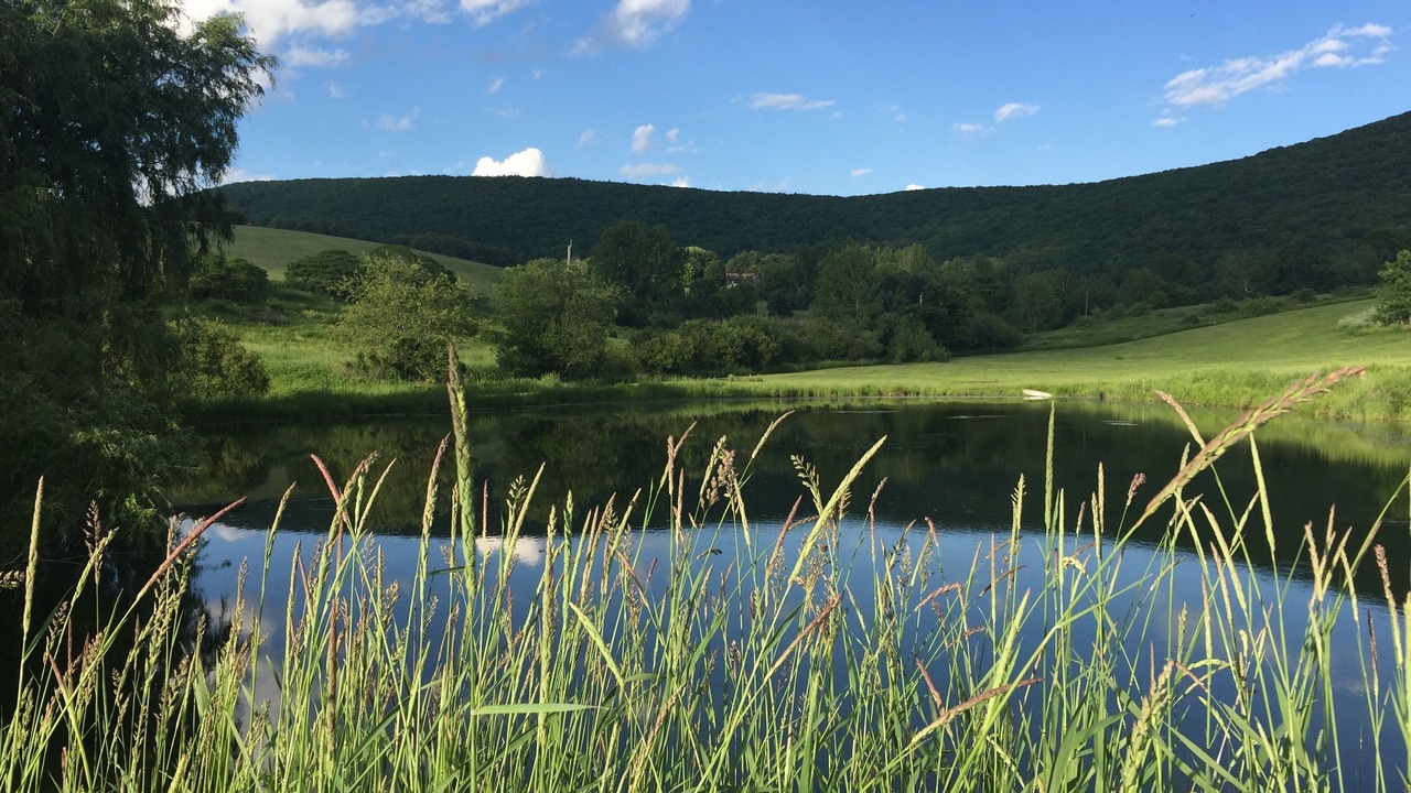Photo of Outdoor in Town of Copake