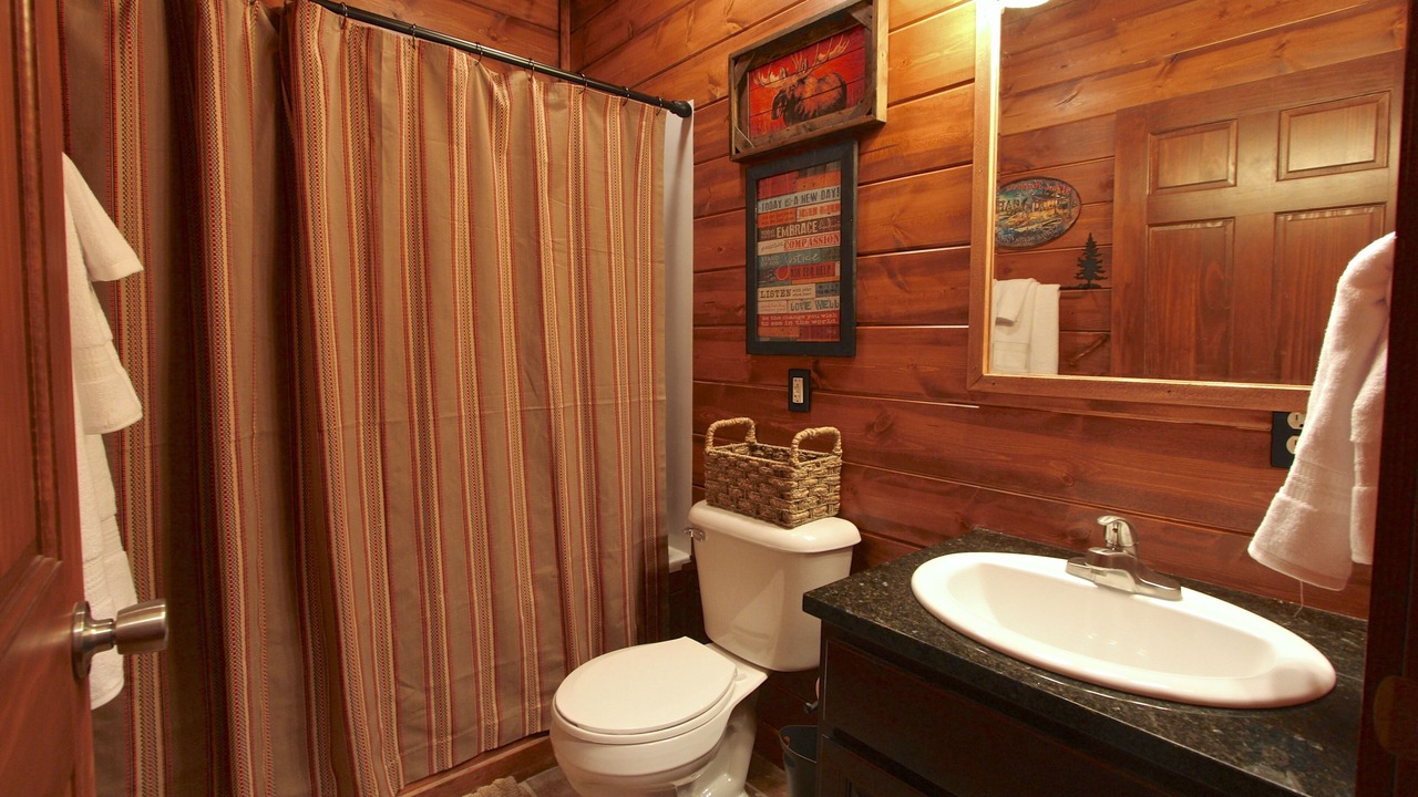 Photo of Bathroom in Branson Cedars