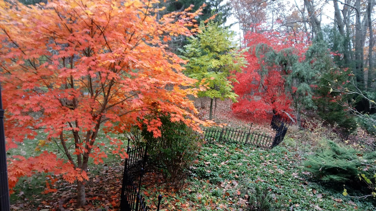 Photo of Others in Staatsburg