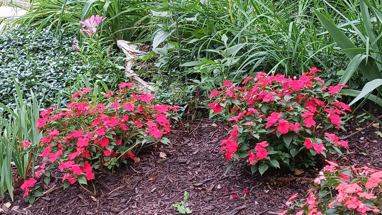 Photo of Others in Staatsburg