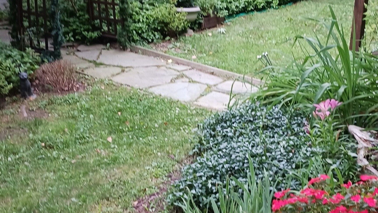 Photo of Others in Staatsburg