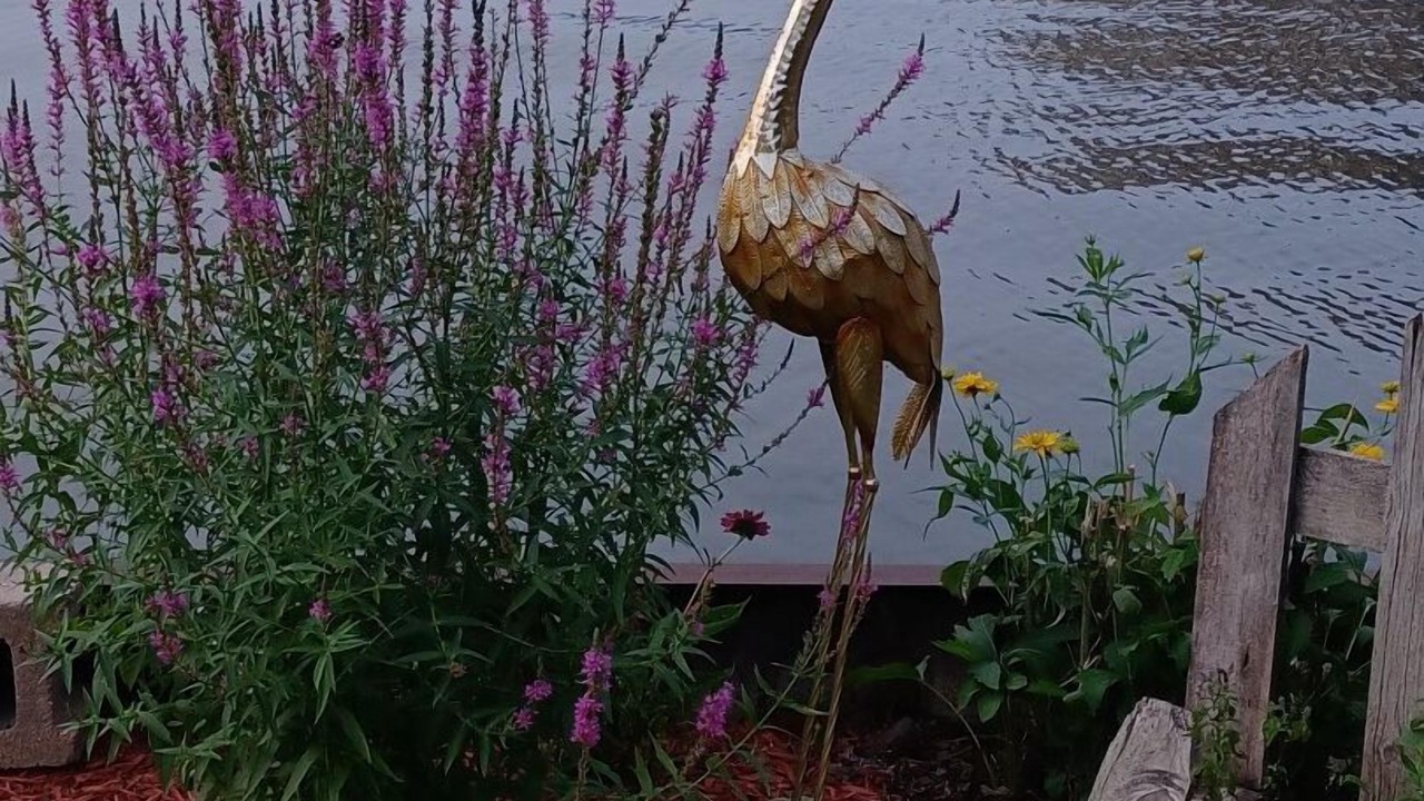 Photo of Outdoor in Fox Lake