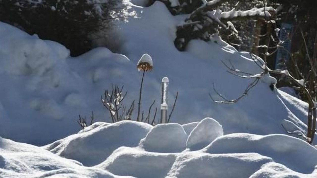 Photo of Others in Meiringen