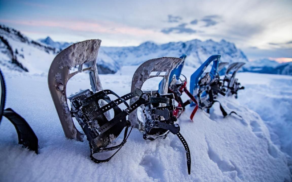Photo of Others in Meiringen