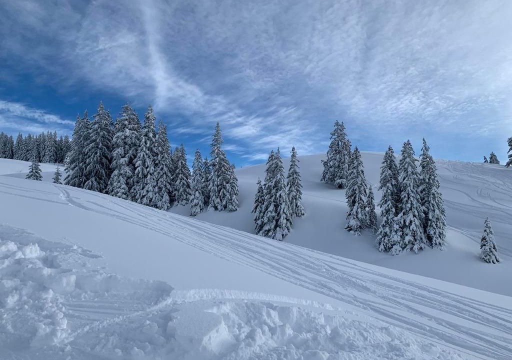 Photo of Others in Meiringen