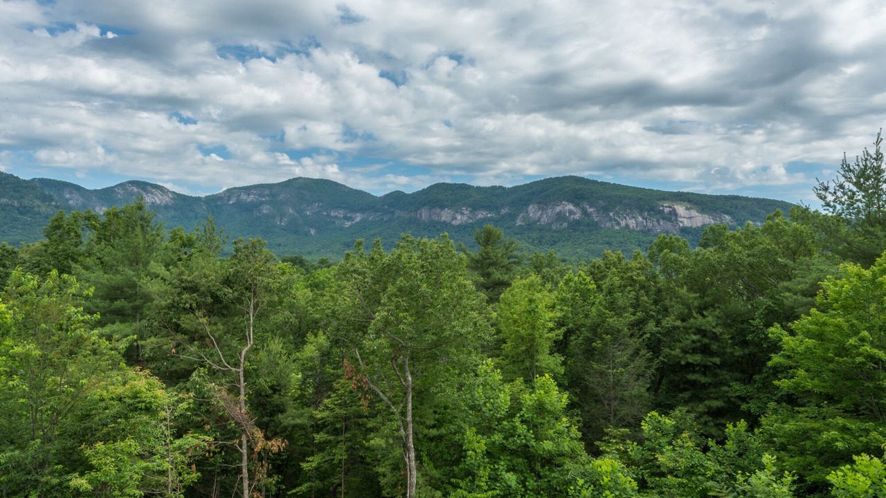 Photo of Others in Lake Lure