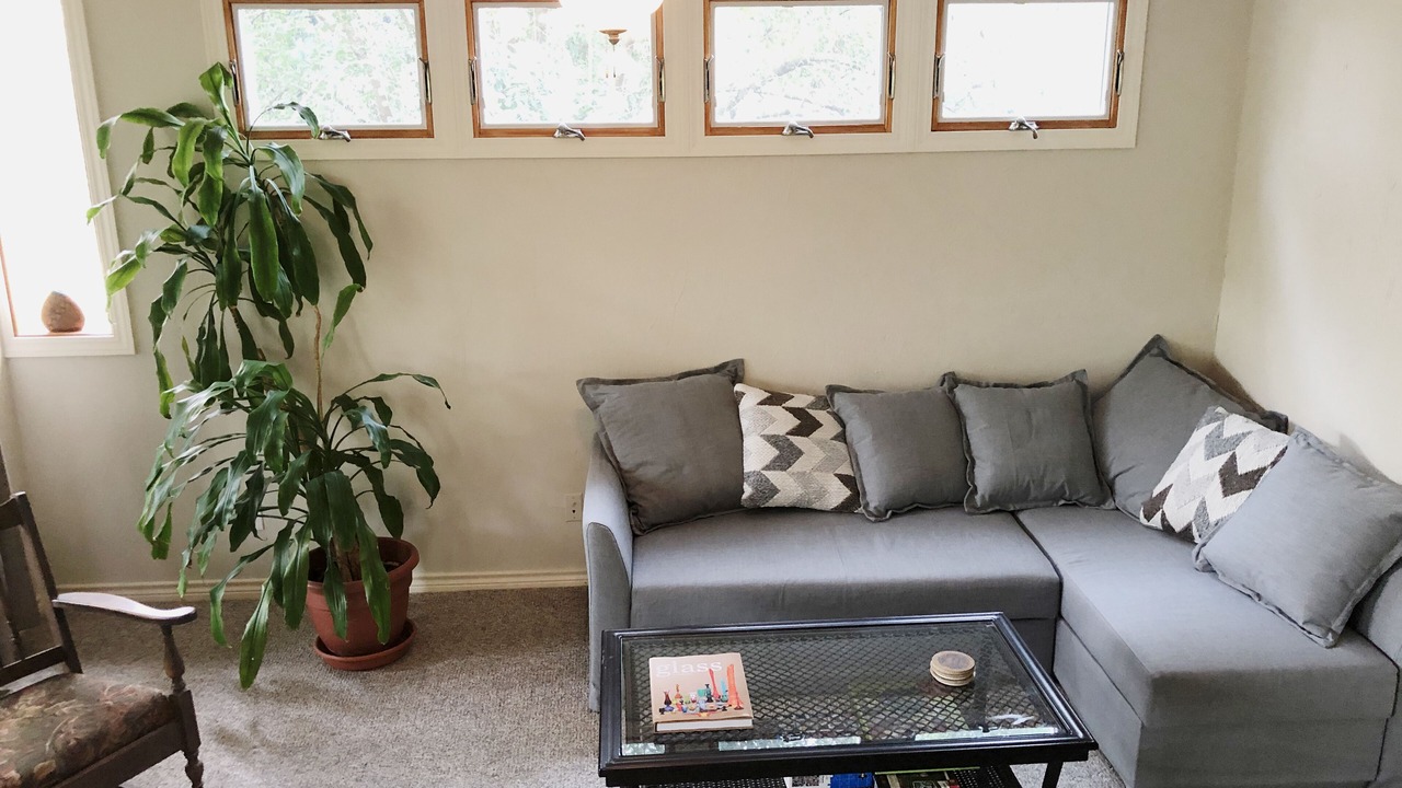 Photo of Livingroom in Allandale