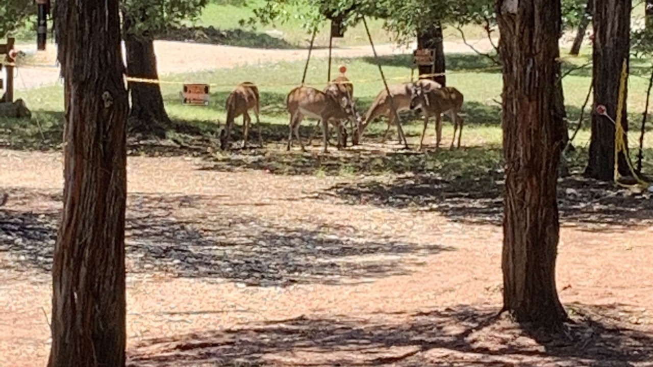 Photo of Others in Morgan