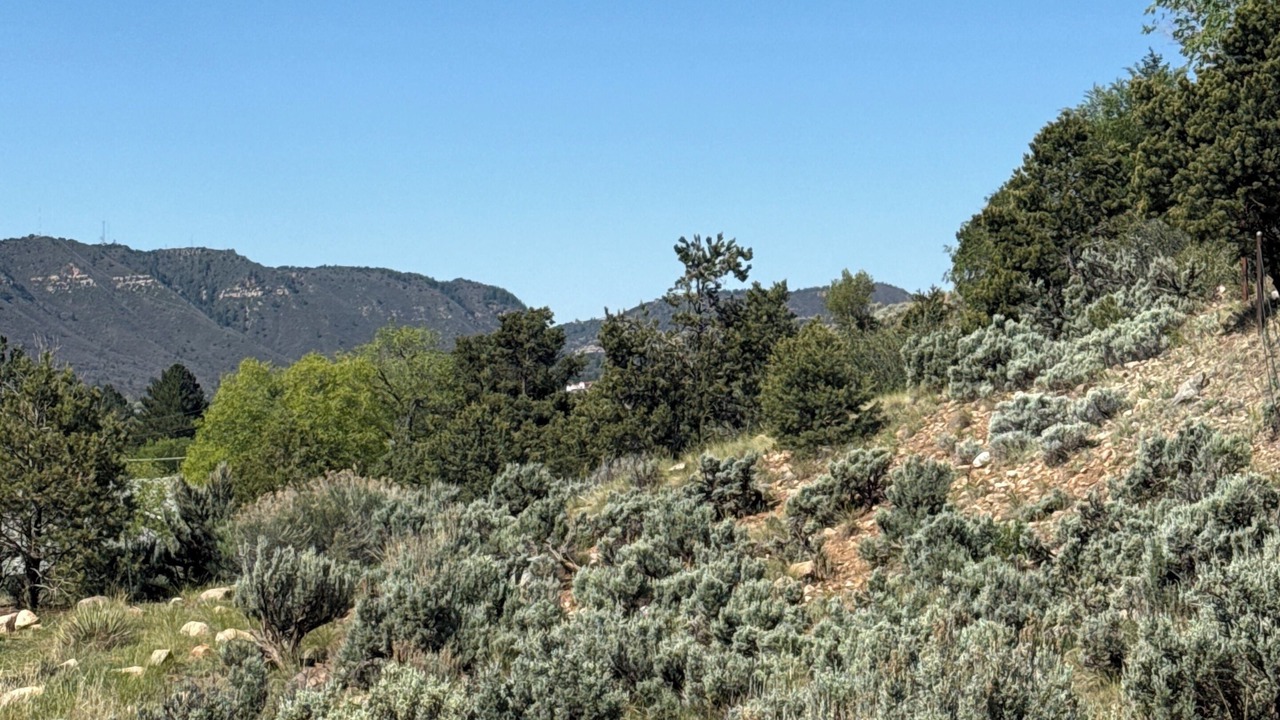 Photo of Others in Durango