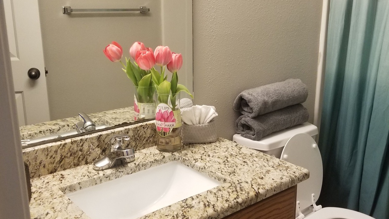 Photo of Bathroom in Ozark