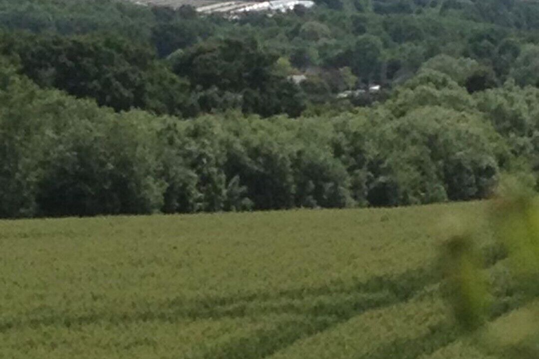 Photo of Others in Harrietsham