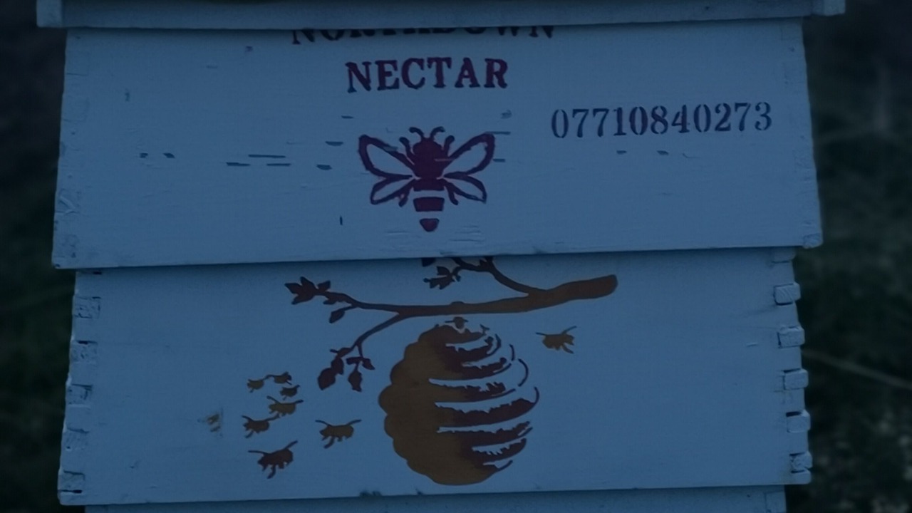 Photo of Outdoor in Harrietsham