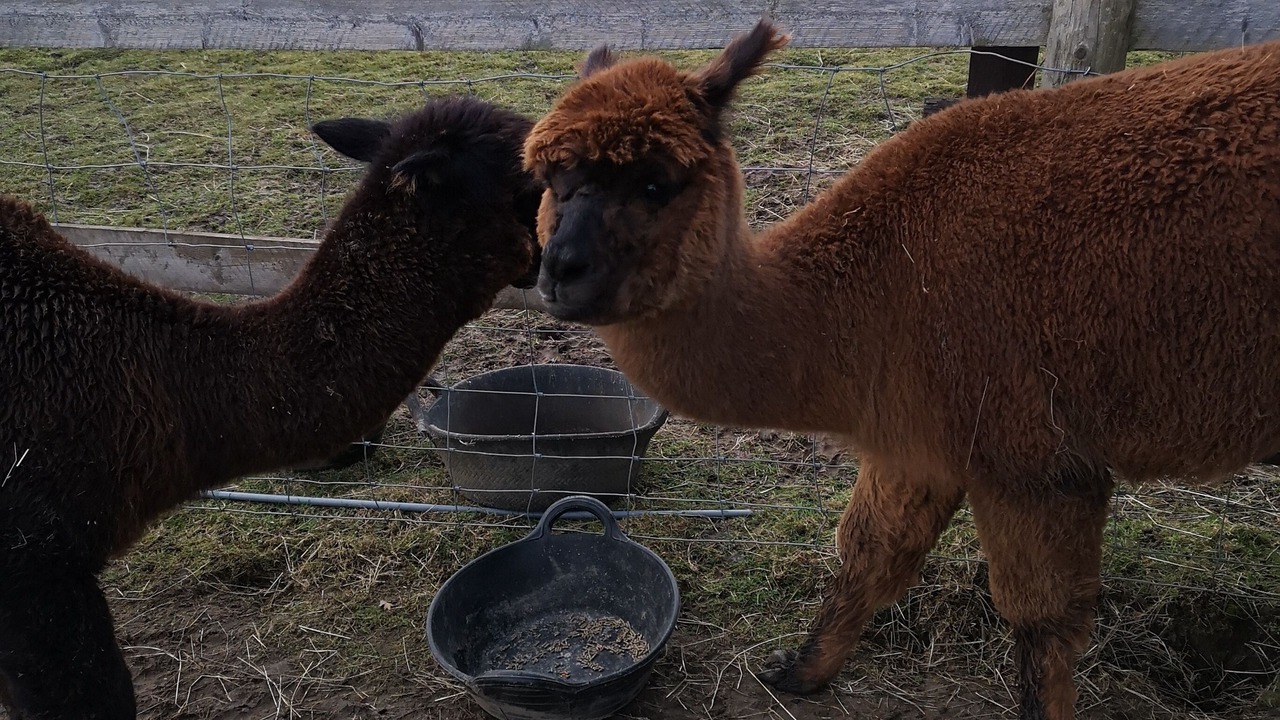 Photo of Outdoor in Harrietsham