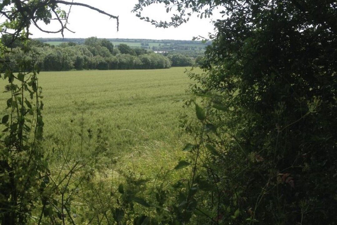 Photo of Outdoor in Harrietsham