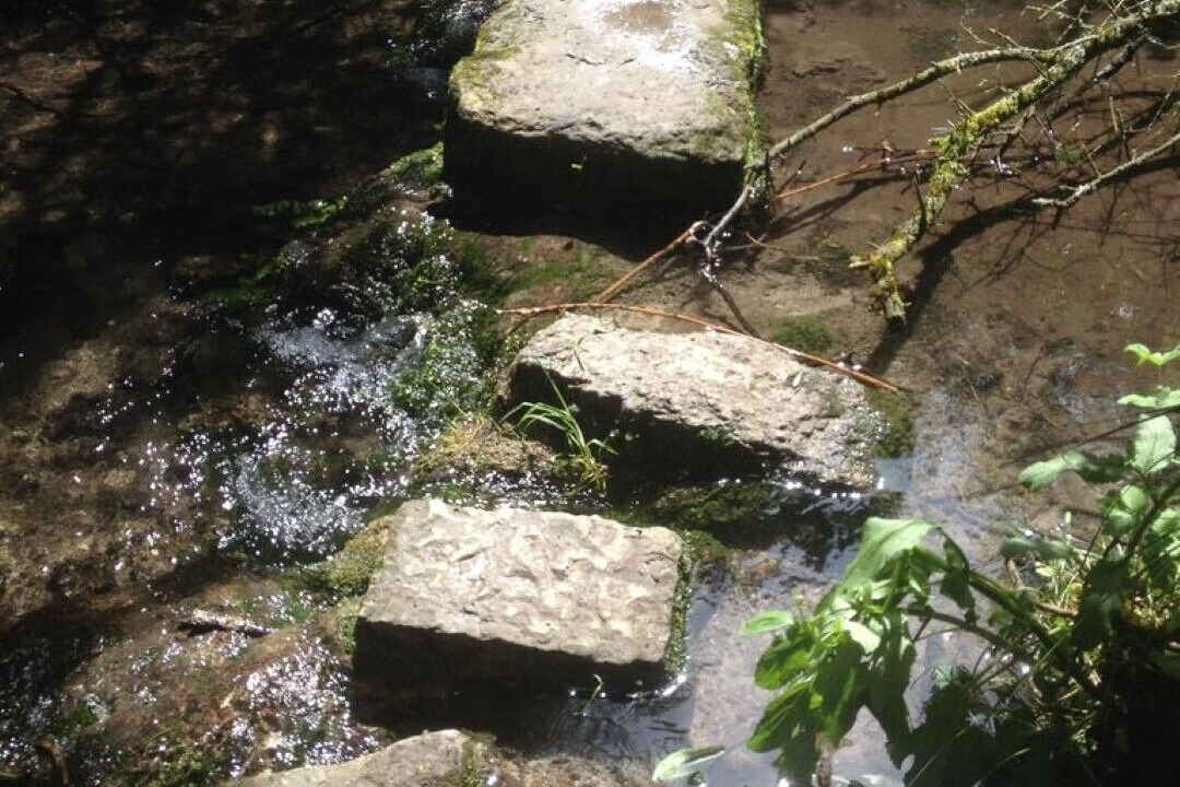 Photo of Others in Harrietsham