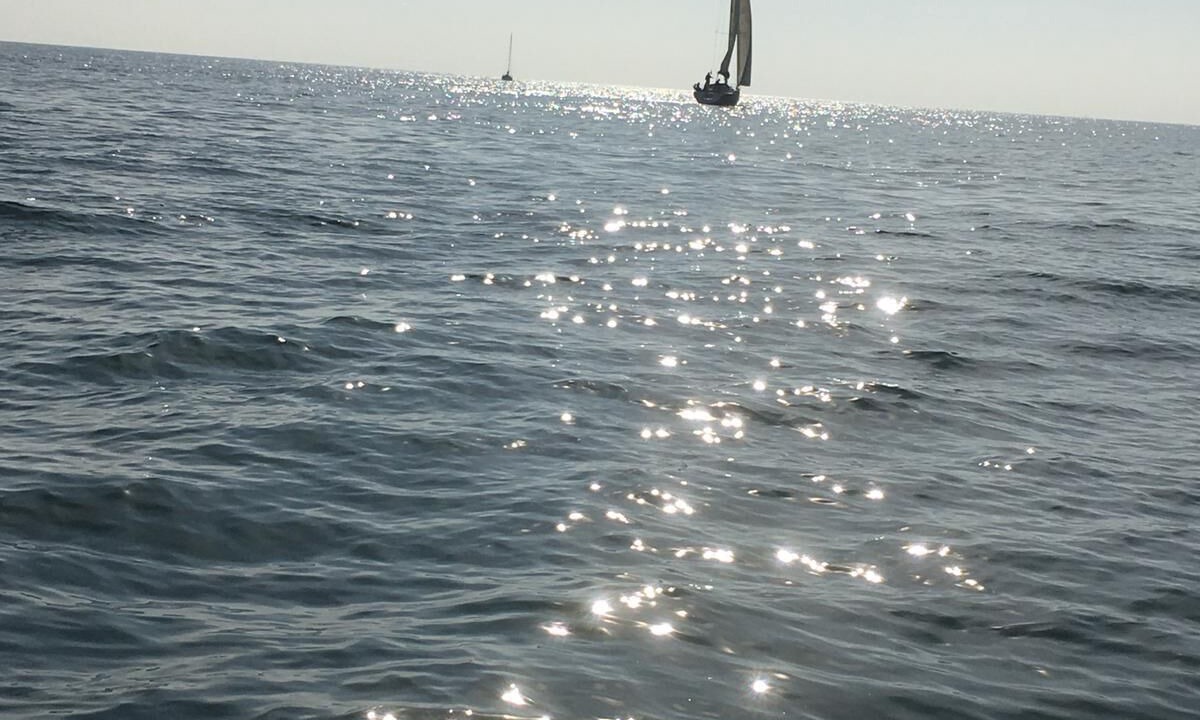 Photo of Others in Bouzigues