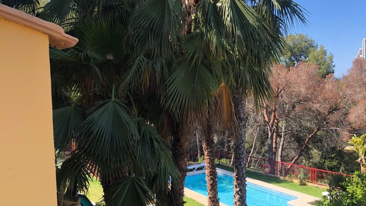 Photo of Outdoor in Benidorm