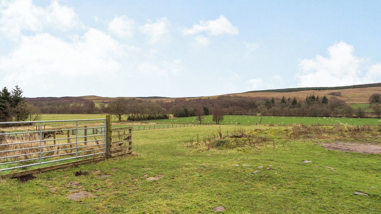 Photo of Others in Hexham