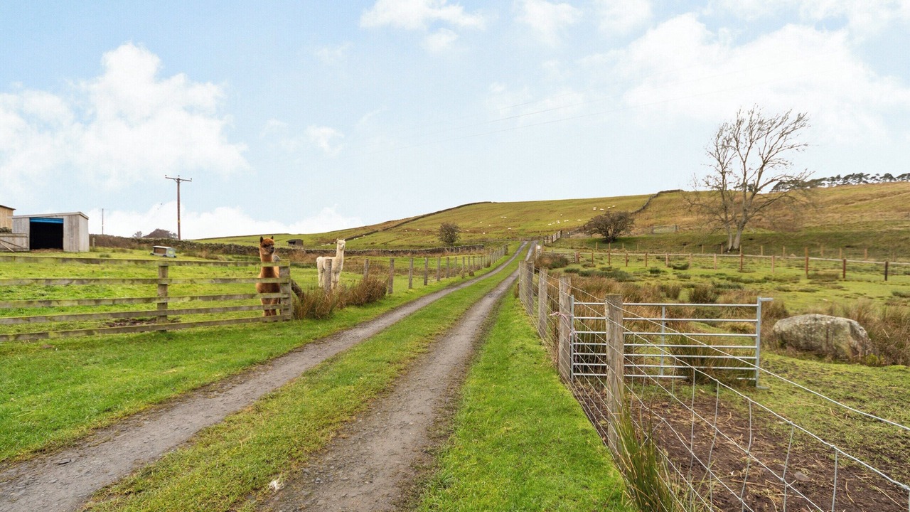 Photo of Others in Hexham